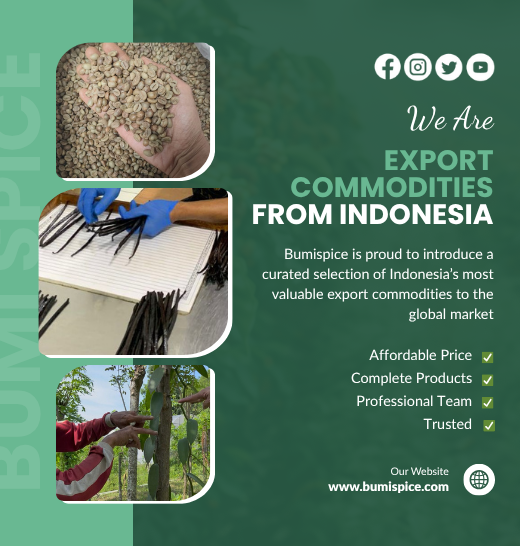 about bumi space (2)