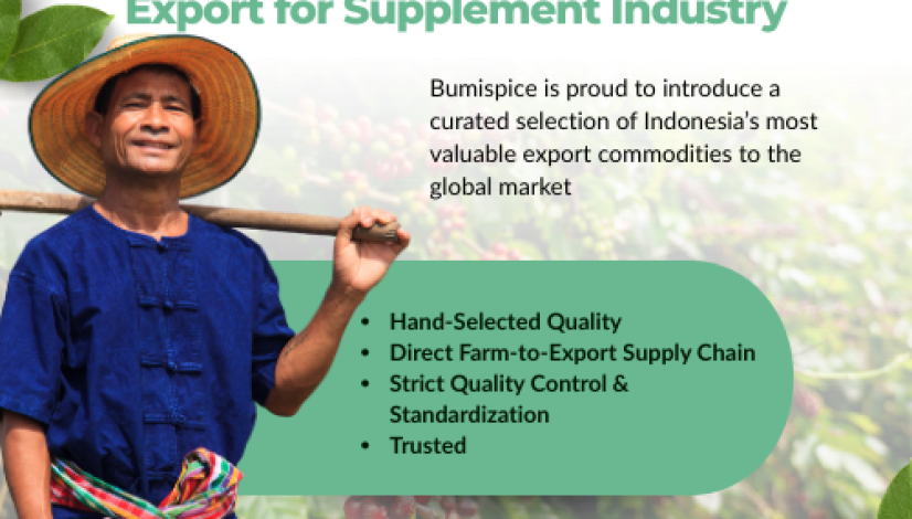 article bumi spice (3)